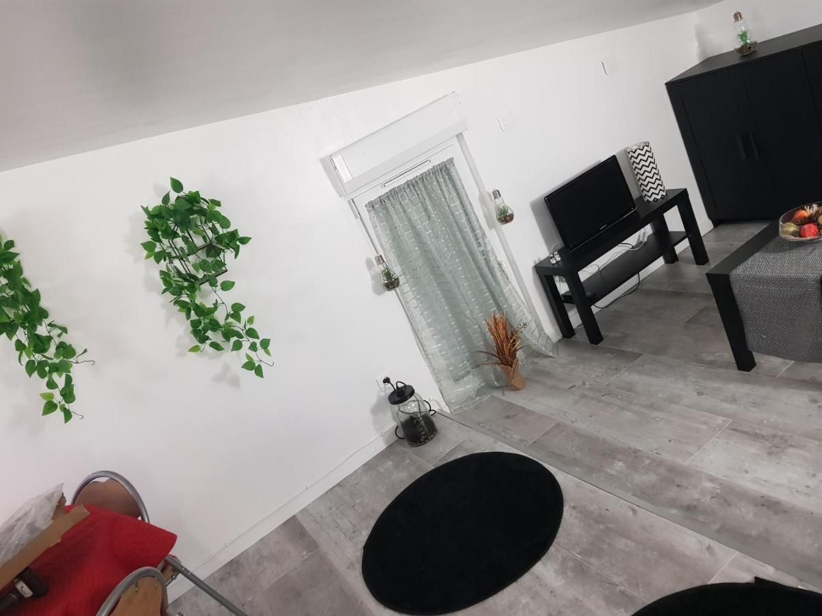 Appartement Cocooning Auterive Auterive  Exterior photo